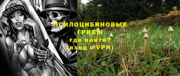 крисы Елабуга