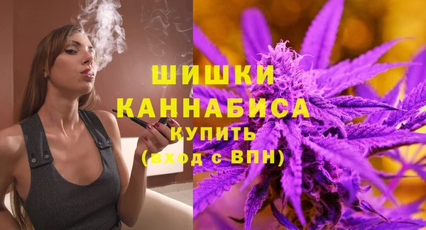 крисы Елабуга