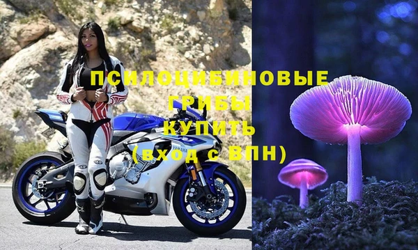 крисы Елабуга