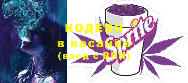 крисы Елабуга