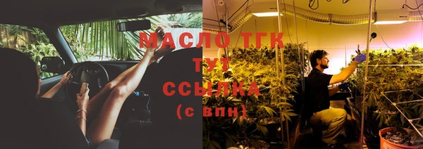 крисы Елабуга