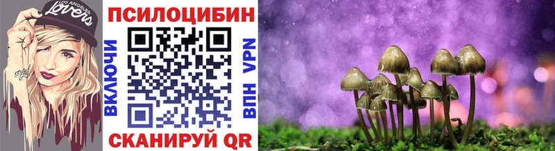 Купить  Острогожск  Псилоцибиновые грибы Cubensis 